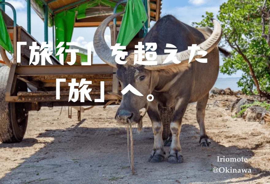 冒険へ出発だ