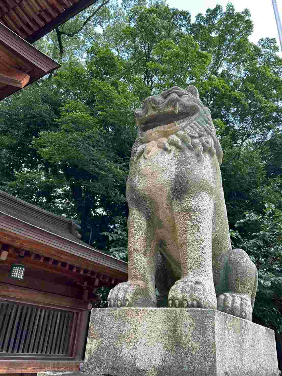 japan_now
