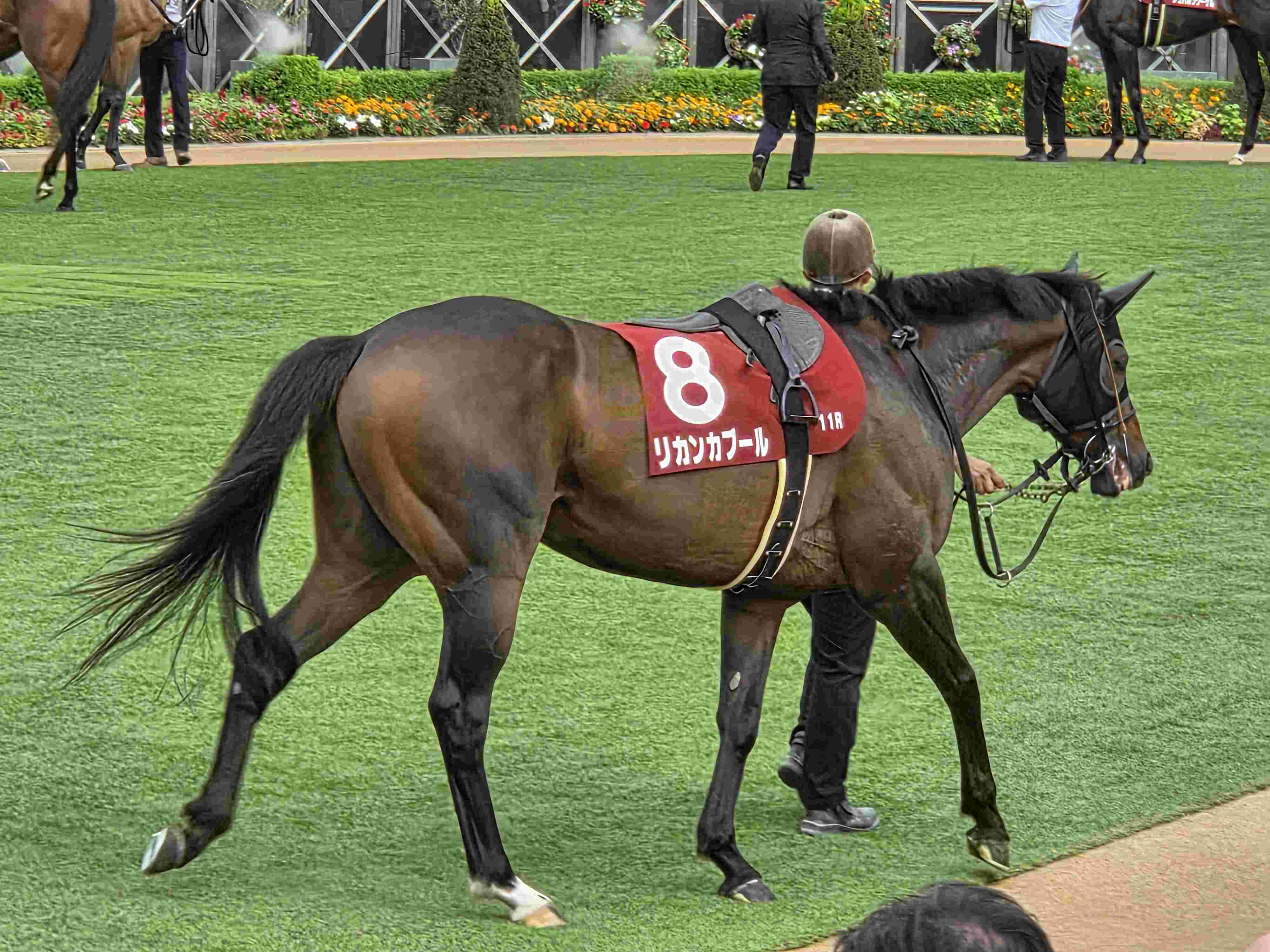中山競馬場